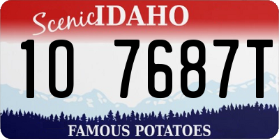 ID license plate 1O7687T