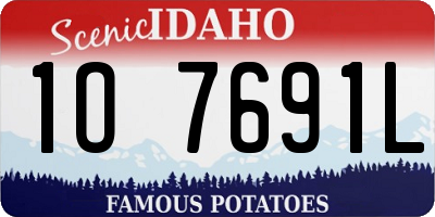ID license plate 1O7691L