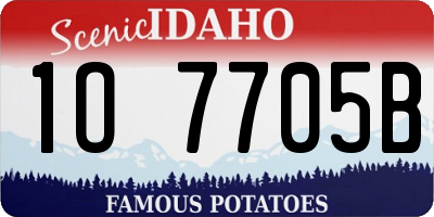 ID license plate 1O7705B