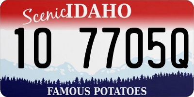 ID license plate 1O7705Q