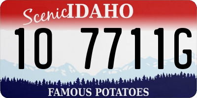 ID license plate 1O7711G