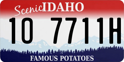 ID license plate 1O7711H