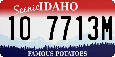 ID license plate 1O7713M