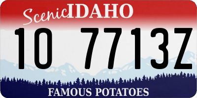 ID license plate 1O7713Z