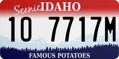 ID license plate 1O7717M
