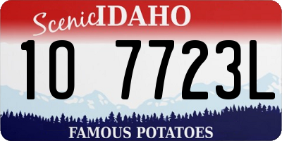ID license plate 1O7723L