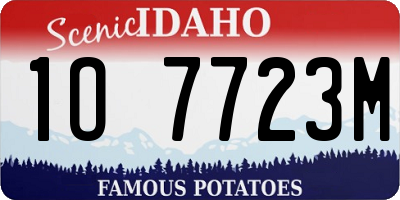 ID license plate 1O7723M