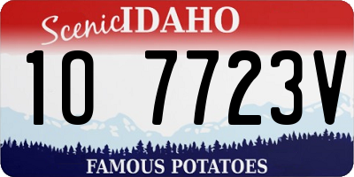 ID license plate 1O7723V