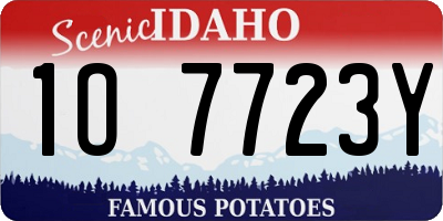 ID license plate 1O7723Y