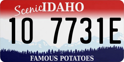 ID license plate 1O7731E