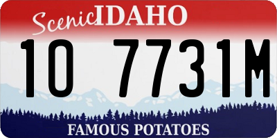 ID license plate 1O7731M