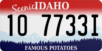 ID license plate 1O7733I