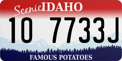 ID license plate 1O7733J