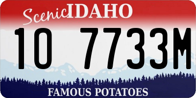 ID license plate 1O7733M