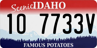 ID license plate 1O7733V