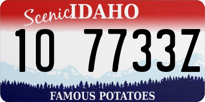 ID license plate 1O7733Z