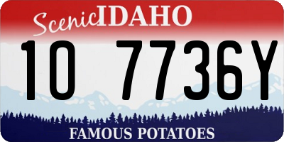 ID license plate 1O7736Y