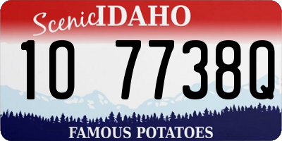 ID license plate 1O7738Q
