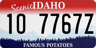 ID license plate 1O7767Z