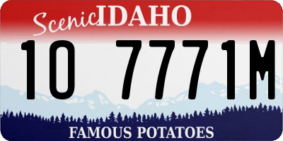 ID license plate 1O7771M