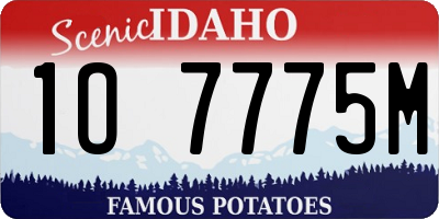 ID license plate 1O7775M