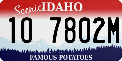 ID license plate 1O7802M