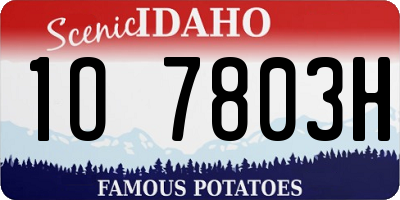 ID license plate 1O7803H