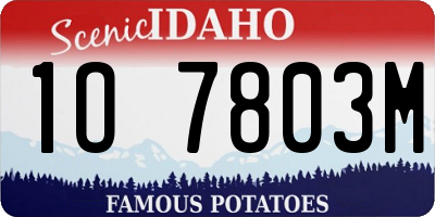 ID license plate 1O7803M