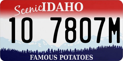 ID license plate 1O7807M