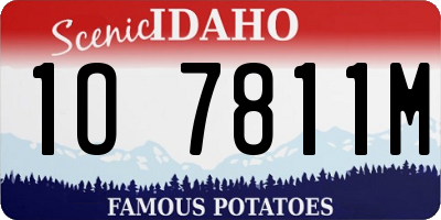 ID license plate 1O7811M