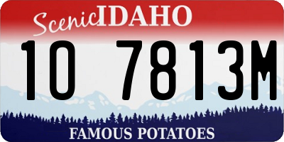 ID license plate 1O7813M