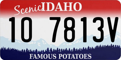 ID license plate 1O7813V