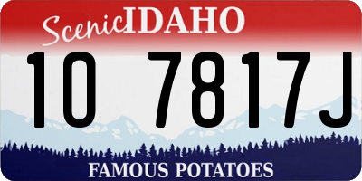 ID license plate 1O7817J
