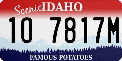 ID license plate 1O7817M
