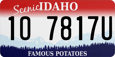 ID license plate 1O7817U