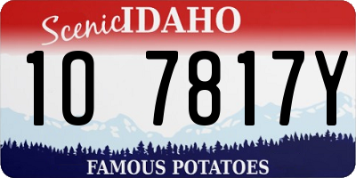 ID license plate 1O7817Y