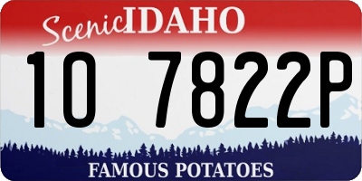 ID license plate 1O7822P
