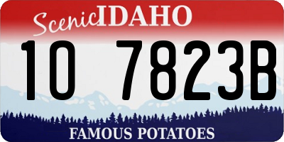 ID license plate 1O7823B