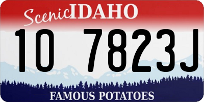 ID license plate 1O7823J