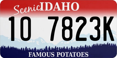 ID license plate 1O7823K