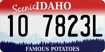 ID license plate 1O7823L