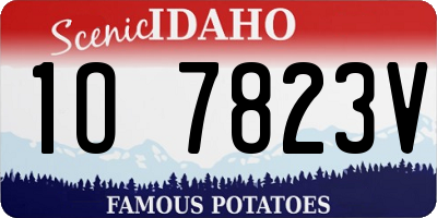 ID license plate 1O7823V