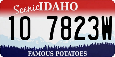 ID license plate 1O7823W