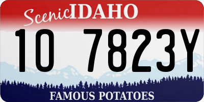 ID license plate 1O7823Y