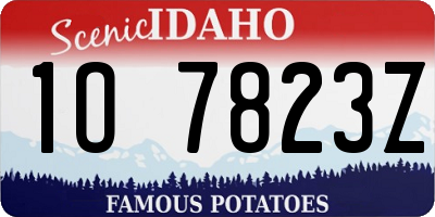 ID license plate 1O7823Z