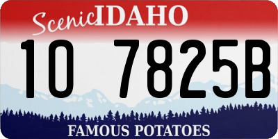 ID license plate 1O7825B