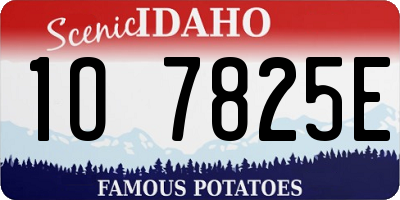 ID license plate 1O7825E