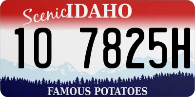 ID license plate 1O7825H