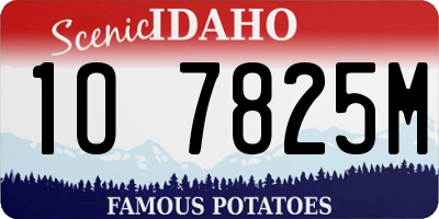 ID license plate 1O7825M