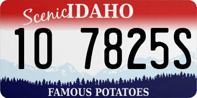 ID license plate 1O7825S